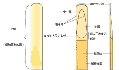 薩克斯哨片簡介